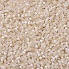 MIYUKI Delica Beads SEED-X0054-DB1874-3