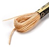 10 Skeins 6-Ply Polyester Embroidery Floss OCOR-K006-A55-2