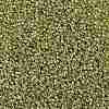 TOHO Round Seed Beads SEED-XTR15-0457-2