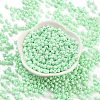 Baking Paint Glass Seed Beads SEED-A032-02R-2