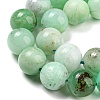 Natural Chrysoprase Beads Strands G-P503-10MM-03-4