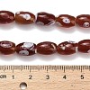Natural Agate Beads Strands G-F811-B01-01-5