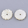 Natural White Shell Beads X-SSHEL-R045-23-2