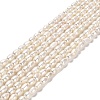 Natural Cultured Freshwater Pearl Beads Strands PEAR-E016-150-1