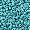 TOHO 3/0 Round Beads SEED-TR03-0055-2