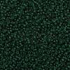 MIYUKI Round Rocailles Beads X-SEED-G009-RR0156F-2
