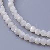 Shell Beads Strands SSHEL-E571-38-3mm-1