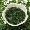 Spray Painted Glass Seed Beads SEED-F005-07A-02-2