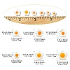 Natural Freshwater Shell Beads SHEL-YW0001-04A-2