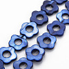 Freshwater Shell Beads Frames Strands SHEL-T009-14D-1