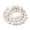 Natural White Moonstone Beads Strands G-Q169-E08-01-3