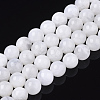 Natural Rainbow Moonstone Beads Strands G-S150-64-8mm-1