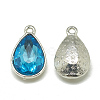 Alloy Glass Pendants PALLOY-T028-10x14mm-12-2