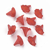 Transparent Acrylic Beads X-BSF796-C12-4