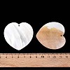 Natural Freshwater Shell Big Pendants SHEL-T020-51-4
