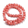 Dyed Natural Trochus Shell Beads Strands BSHE-G034-25A-3
