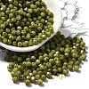 Picasso Baking Paint Glass Seed Beads SEED-A032-02A-02-1