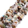 Natural Gemstone Beads Strands G-F328-26-8