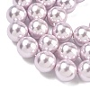 Electroplated Shell Pearl Beads Strands BSHE-G041-16mm-06-3