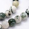 Natural Tree Agate Beads Strands X-G-I199-03-6mm-3