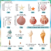 14 Styles Natural Shell Ornaments AJEW-PH0011-89-2