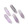 Natural Fluorite Double Terminal Pointed Pendants G-C007-02B-09-1