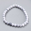 Natural Howlite Beads Strands X-TURQ-G091-6mm-2