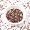 MIYUKI Half TILA Beads SEED-JP0008-HTL257-2