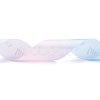 Gradient Polyester Ribbon SRIB-I005-01C-01-4