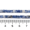 Natural Blue Spot Jasper  Beads Strands G-B129-A10-01-5