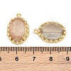Brass Glass Pendants GL-CBABDD8-17G-01-3