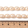 Electroplated Shell Pearl Beads Strands BSHE-B008-07C-4