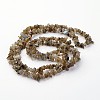 Natural Labradorite Chips Beads Strands LS-F069-4