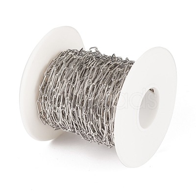 Tarnish Resistant 304 Stainless Steel Paperclip Chains CHS-F010-01E-P-1