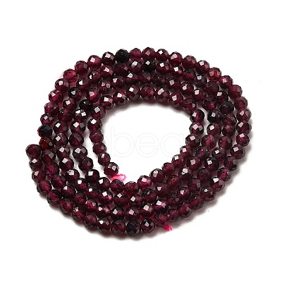 Natural Garnet Beads Strands X-G-I341-09B-01-1