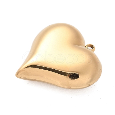 304 Stainless Steel Pendants STAS-Q349-02B-G-1