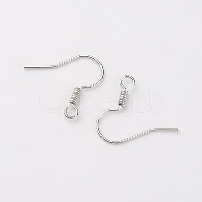 Iron Earring Hooks X-E133-S-1