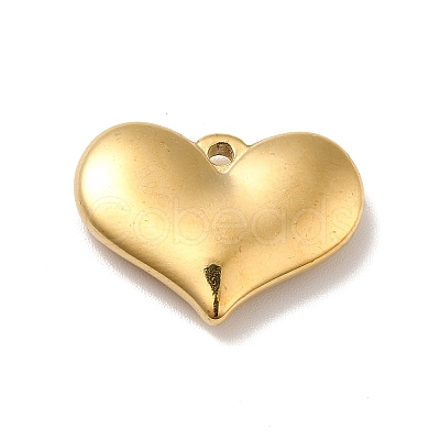 Ion Plating(IP) 304 Stainless Steel Pendants LS-STAS-E176-01G-1