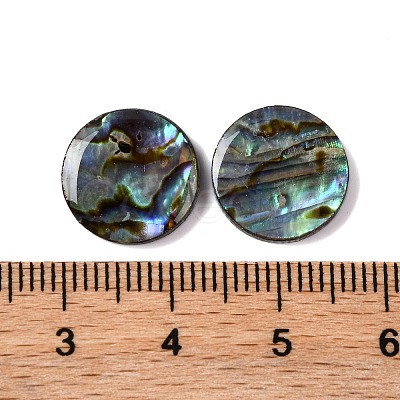 Natural Paua Shell Epoxy Resin Cabochons SSHEL-S279-01A-1