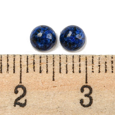 Natural Lapis Lazuli Dyed Cabochons G-H309-03-51-1