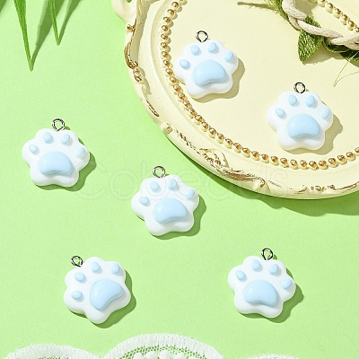 6Pcs Opaque Resin Pendants RESI-YW0003-45C-1