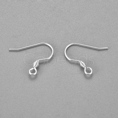 304 Stainless Steel Earring Hooks X-STAS-H436-04S-1