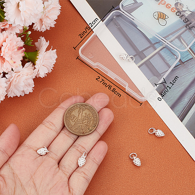 5Pcs 925 Sterling Silver Charms STER-BBC0002-23-1