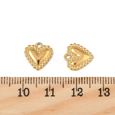 304 Stainless Steel Charms STAS-P396-06G-1