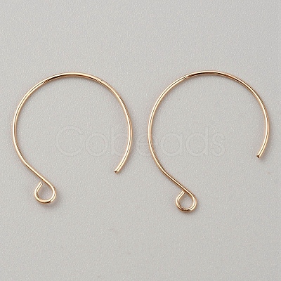 Brass Earring Hooks KK-WH0044-141B-G-1
