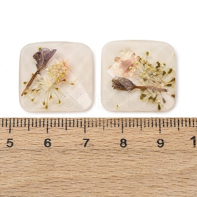 Transparent Resin Cabochons RESI-K033-12B-1