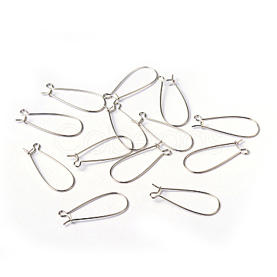 Brass Hoop Earrings Findings Kidney Ear Wires EC221-1