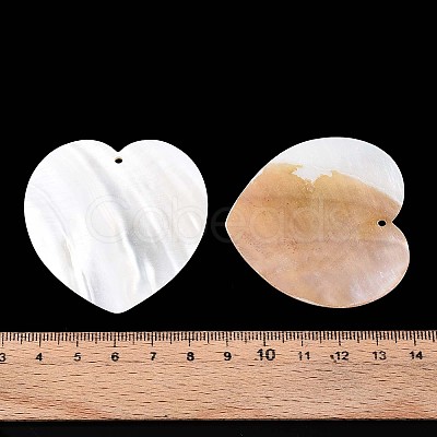 Natural Freshwater Shell Big Pendants SHEL-T020-51-1
