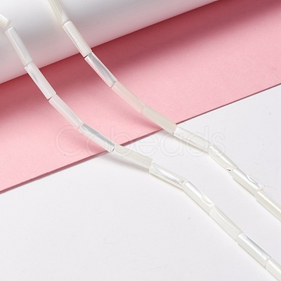 Natural Trochid Shell/Trochus Shell Beads SSHEL-O001-26B-1