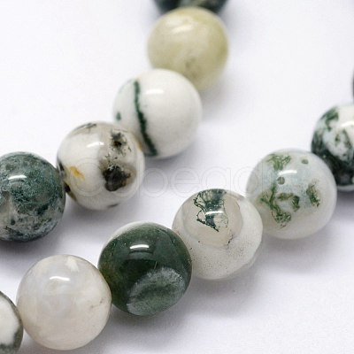 Natural Tree Agate Beads Strands X-G-I199-03-6mm-1